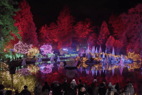 Vancouver : Tour en trolley des lumières de Noël avec karaoké