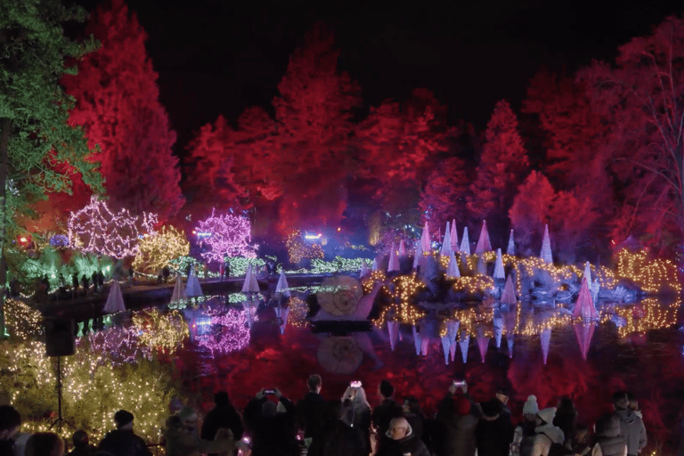 Vancouver : Tour en trolley des lumières de Noël avec karaoké