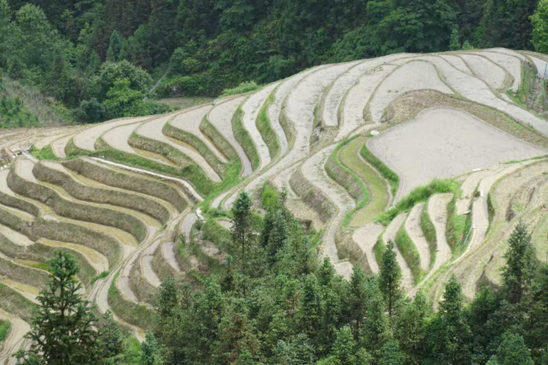 Guilin: In-Depth Longji Rice Terraces Day Trip with Lunch Group Tour