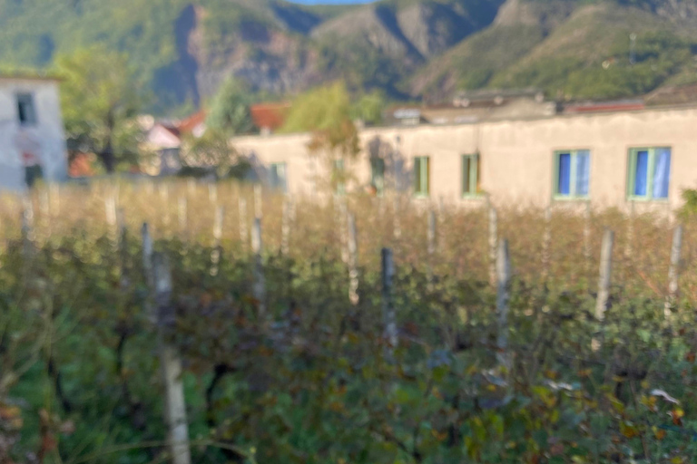 Da Tirana-RAKI E DEGUSTAZIONE DI VINO IN LIBRAZHD