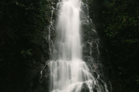 Belize: 7-Day Small-Group Tour with Snorkeling & Ruins