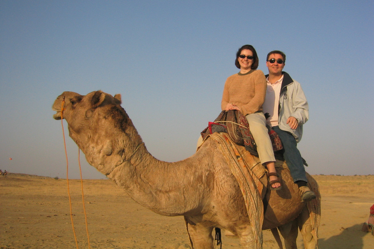 Flamingo's River Camel Ride with Tea