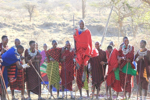 Kajiado: Maasai Village Tour with Hotel Pickup