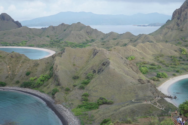 Labuan Bajo: Komodo Islands Speedboat Day Trip with Pickup Komodo Islands Speedboat Day Trip with Pickup