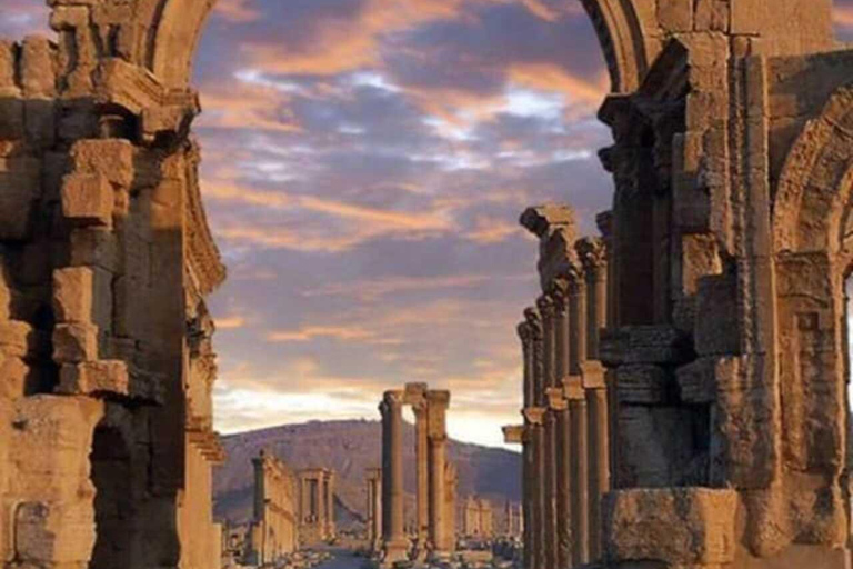 Amman: Dagtrip Jerash &amp; Ajloun Jordanië met lunch