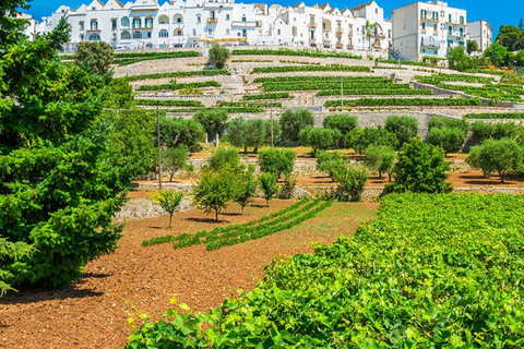 Puglia: Locorotondo, Cisternino, and Ostuni Private Tour Authentic Routes with Castellana Grotte Pick-Up