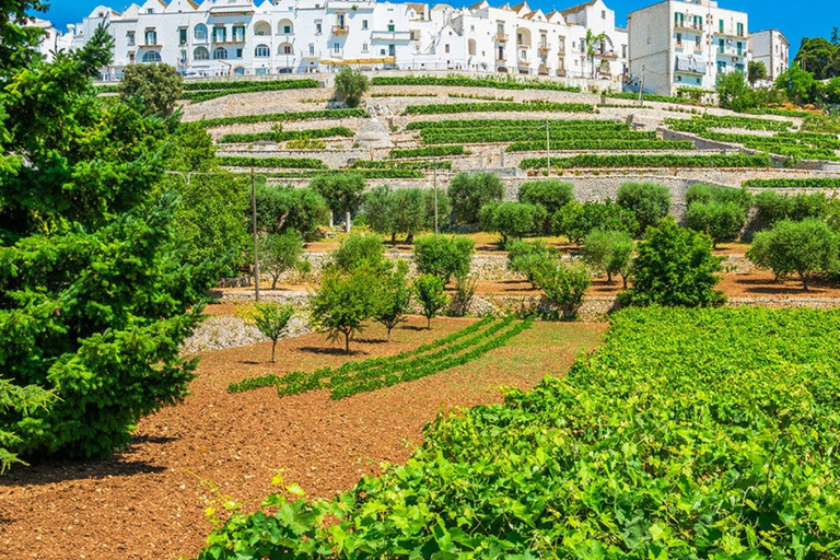 Puglia: Locorotondo, Cisternino, and Ostuni Private Tour Authentic Routes with Castellana Grotte Pick-Up