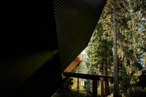From Vancouver: Whistler Village, Sea to Sky Gondola Tour