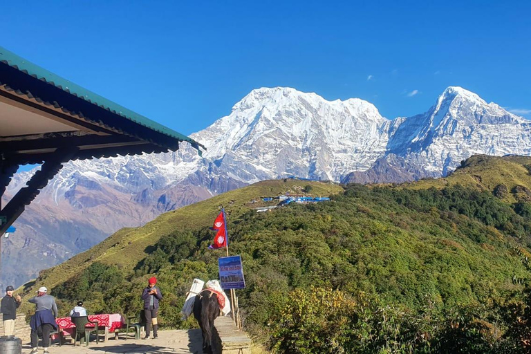 Mardi Himal Guided Private Trekking from Pokhara – 4 Days Mardi Himal Guided Private Trekking from Pokhara – 4 Days