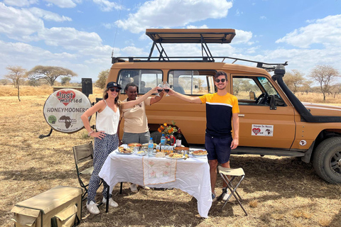 阿鲁沙：4日中档住宿游猎之旅阿鲁沙：4天中档住宿游猎之旅