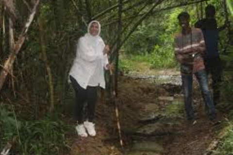 Zanzibar: Zipline Adventure in masingini forest tour Private tour with Hotel pick up & drop-off with entry ticket