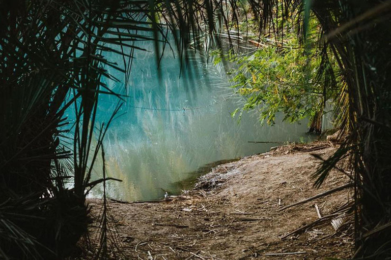 Excursión de un día a las termas de Chemka