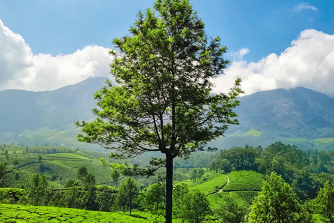 Kerala: Munnar, Thekkady, Alappuzha & Trivandrum 5-Day Trip Kerala: 5-Day Munnar, Thekkady, Alappuzha and Trivandrum