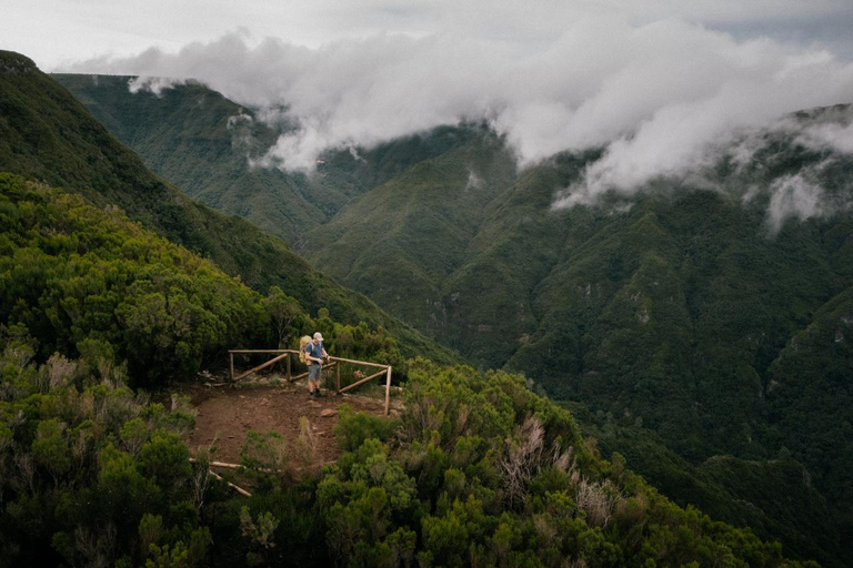 Funchal: Vereda do Fanal PR13 Hiking with Transfer & Guide