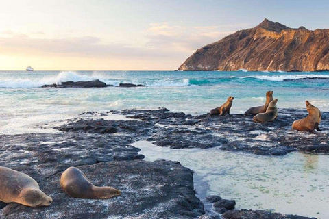 Galápagos: San Cristóbal 4-Day Tour with Snorkeling
