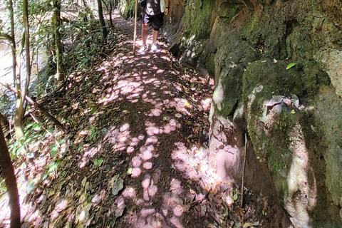 Iguazu Extreme Day: Sunrise, São João Trail & Macuco Safari