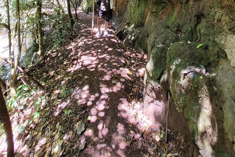 Iguazu Extreme Day: Sunrise, São João Trail & Macuco Safari