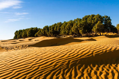 From Djerba/Zarzis: 2-Day Southern Tunisia Tour with Camp