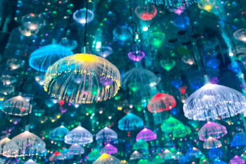 Shanghai: Starry Art Museum & Illusion Ticket