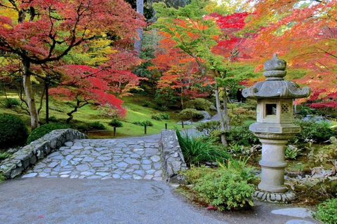 Seattle: Cherry Blossom Tour with Gardens & Pike Place