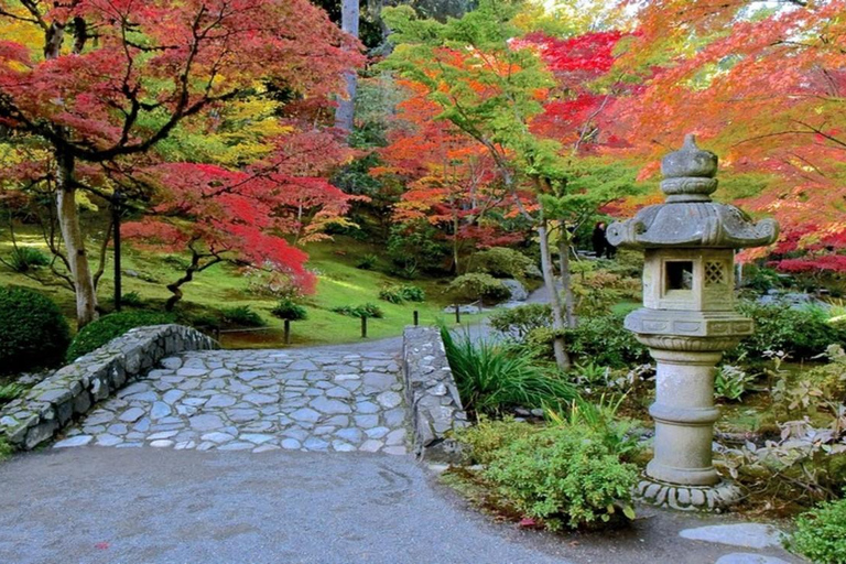 Seattle: Cherry Blossom Tour with Gardens & Pike Place