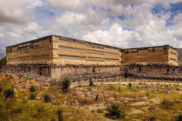 Oaxaca: Rundtur till Tule Tree, Teotitlán, Mitla och Hierve el Agua