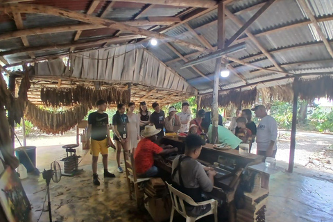 Puerto Plata: Countryside tour with Monkey Home, butterflies, and coffee