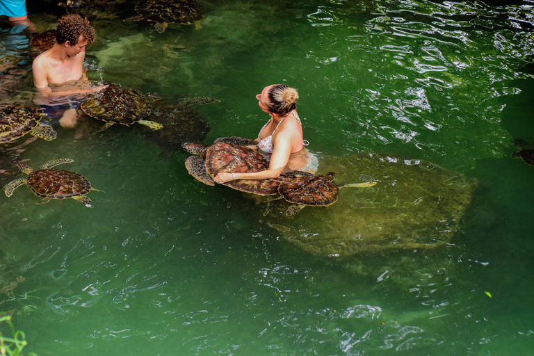 Baraka Aquriuam Nungwi excursión de medio día Zanzíbar