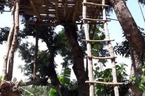 Kandy Top City Sights & Agro Tech Park Visit 4-Hours Tour Kandy Top City Sights visit -01