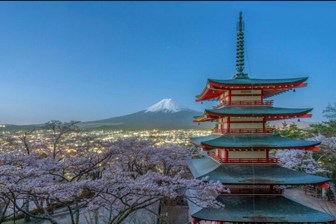 Mt Fuji Sightseeing Private tour with English Speaking Guide