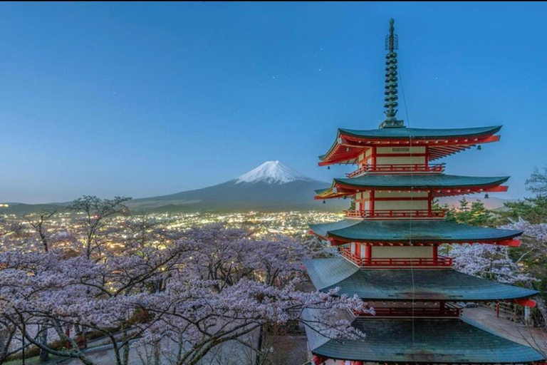 Mt Fuji Sightseeing Private tour with English Speaking Guide