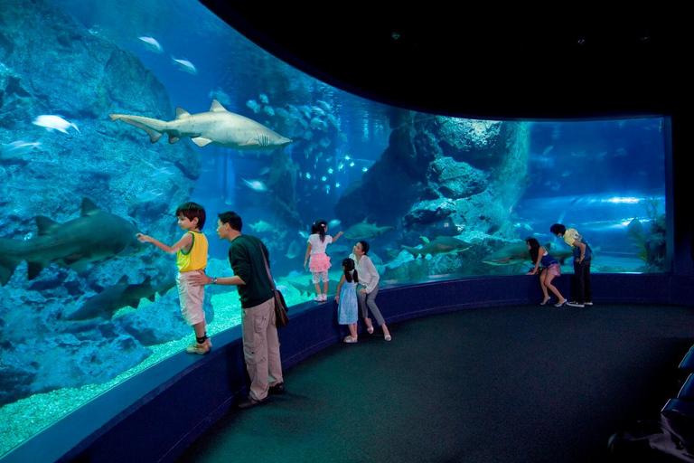 Bangkok: biglietto d'ingresso al SEA LIFE Bangkok Ocean WorldPrenotazione anticipata per date fuori stagione