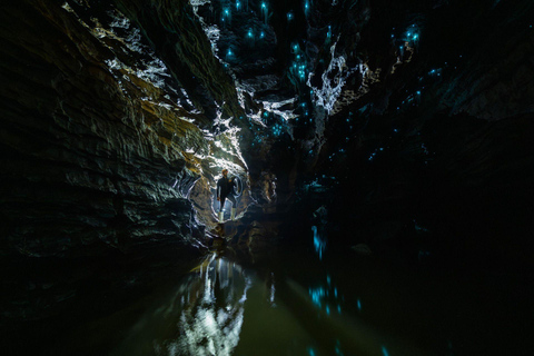 The Waitomo Experience : Okahua Glowworm Cave Tour