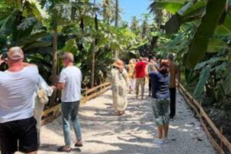 Half Day Tour with Salalah Bread & Transfer Included