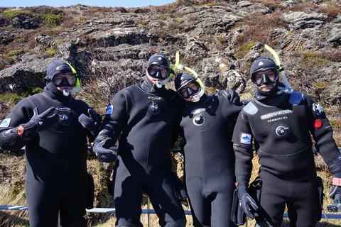 Schnorcheln in der Silfra-Spalte - KleingruppentourAb Thingvellir: Selbstfahrer-Option ohne Abholung