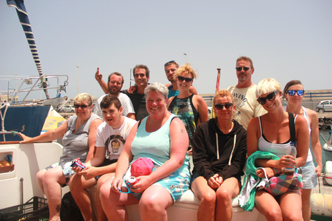 avistamento de cetáceos