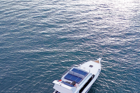 From Labuan Bajo: Komodo National Park Speedboat Day Trip