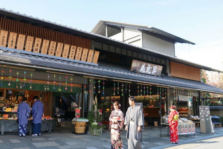 Ukyo: Arashiyama Bamboo Forest, Tenryu-ji, Monkey Park Tour