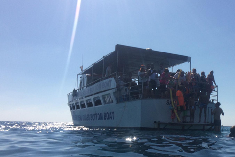 FROM PAPHOS: 1.5 HRS Glass Bottom Boat Cruise with swimming