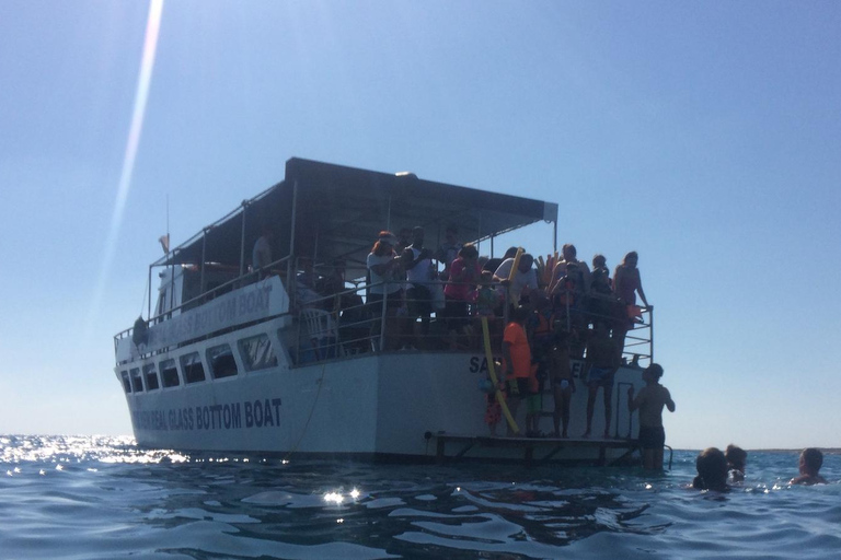FROM PAPHOS: 1.5 HRS Glass Bottom Boat Cruise with swimming