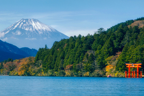 From Tokyo: Mt. Fuji Views Private Customize Itinerary Tour