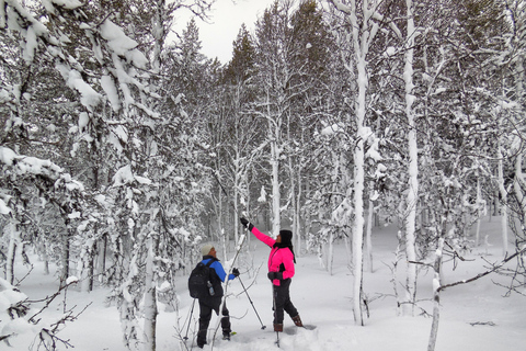 Tromsø: Guided snowshoe trip on Tromsøya