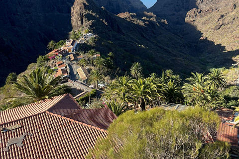 Tenerife: Teide, Masca, and Los Gigantes Cliffs Tour