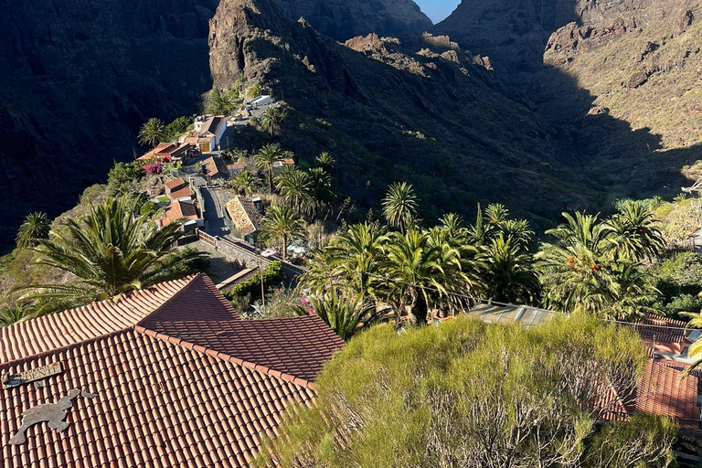 Tenerife: Teide, Masca, and Los Gigantes Cliffs Tour
