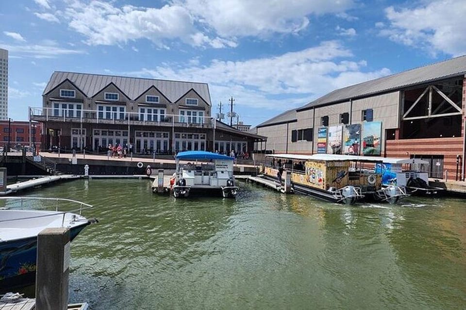 Galveston: Dolphin Watching Boat Tour in Galveston Bay | GetYourGuide