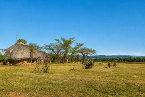 JHB: 4-Day Adventure; Panorama Route, Eswatini, & Mozambique