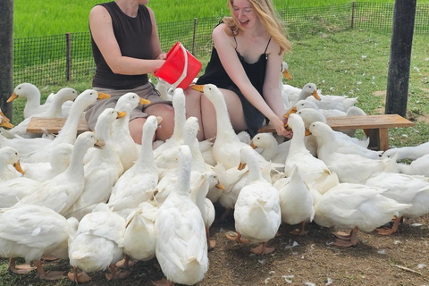 Hoi An: Duck Stop Farm Experience & Rural Adventure