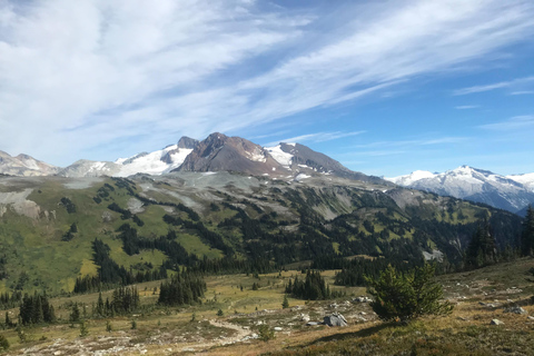 Whistler: Alpine Wanderung mit Gondelfahrt