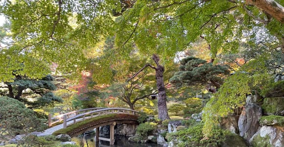 Kyoto 3 Hour Walking Tour: Beyond the Imperial Palace Walls