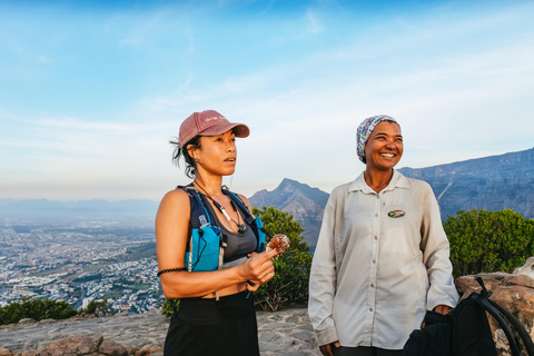 Cape Town: Lion's Head Sunrise or Sunset Hike